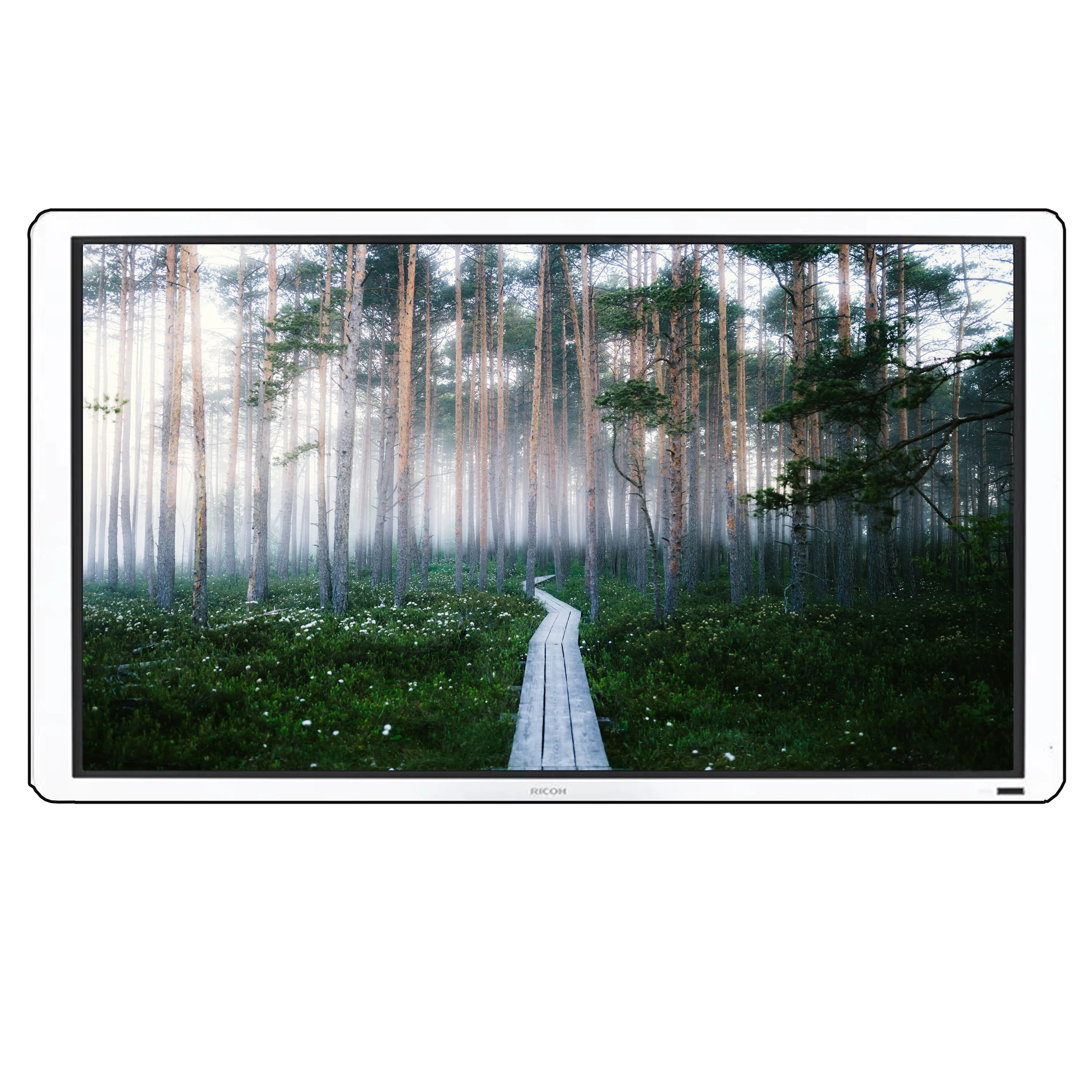 Ricoh Interactive Screen D5500 - 55 inch